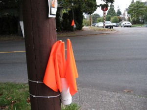 Start a Crossing Flags Program